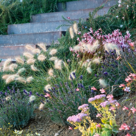 Natuurlijke tuin 15.000 m2